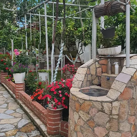 Pensionat 7 Vlorë